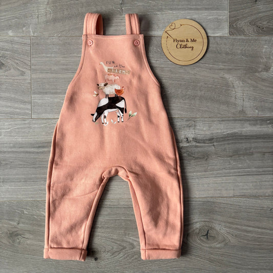 Fun on the Farm countryside dungarees