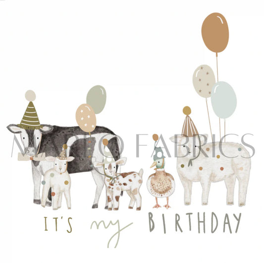 Birthday Photo Album