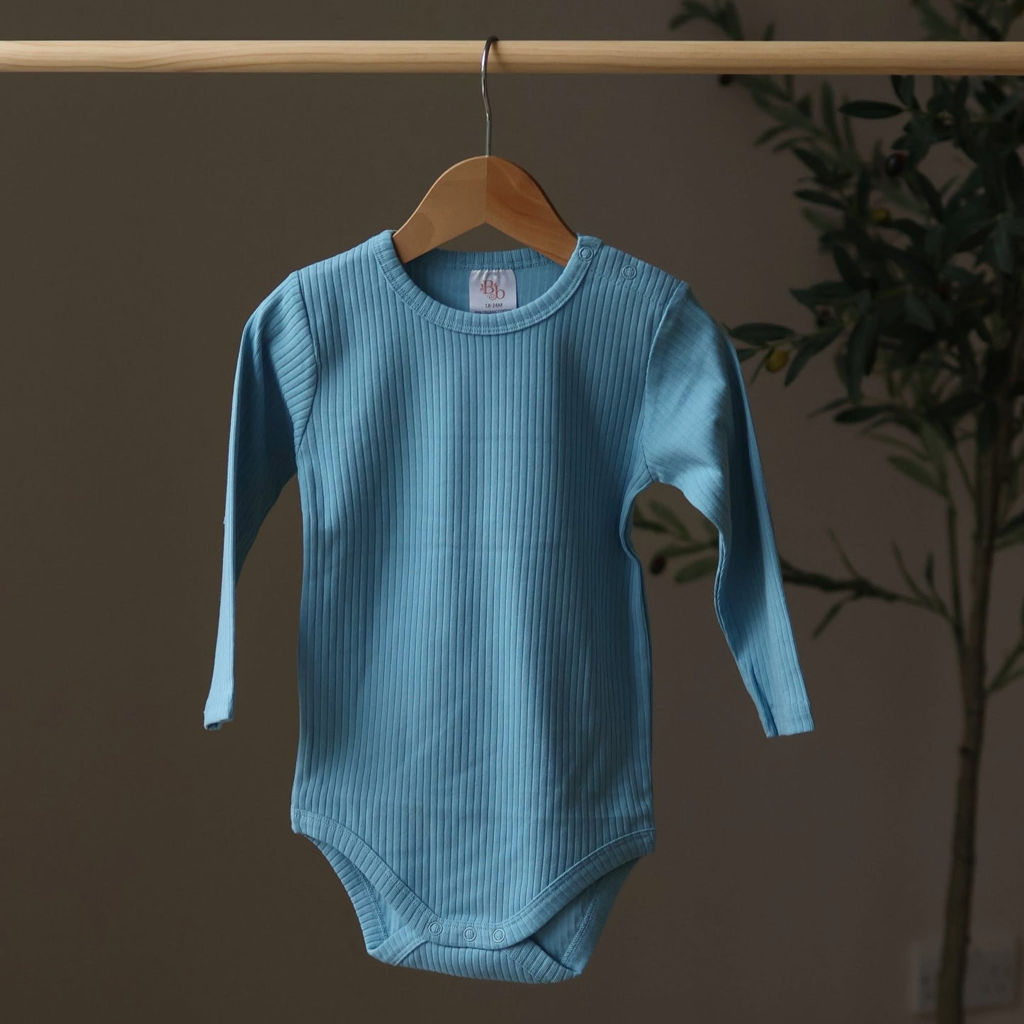 Lagoon Organic Bodysuit