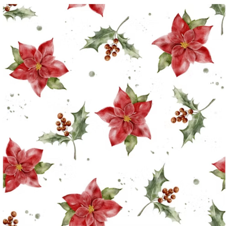 Poinsettia Bloom