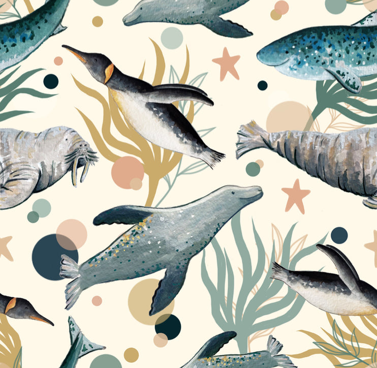 Discover Your Porpoise