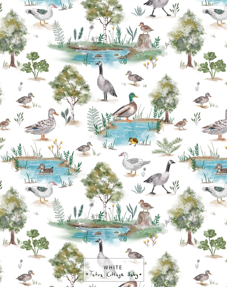 Little Water Waddles