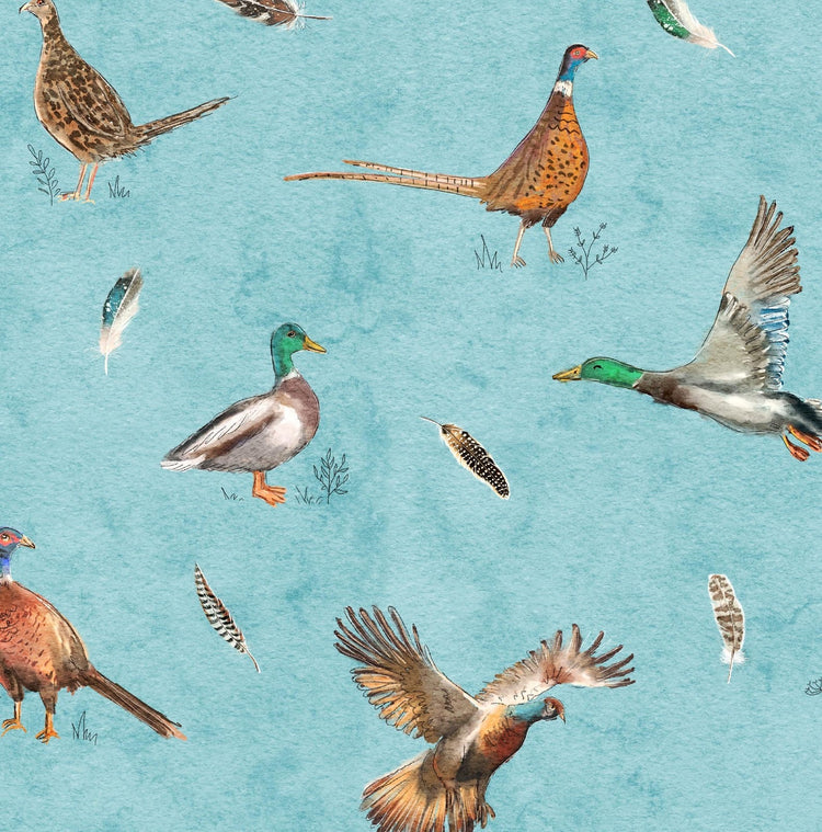 Birds of a Feather