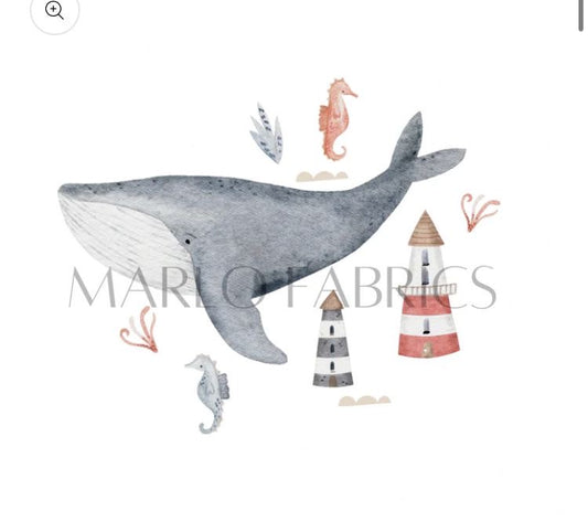 Whale Visits The Harbour Transfer Top