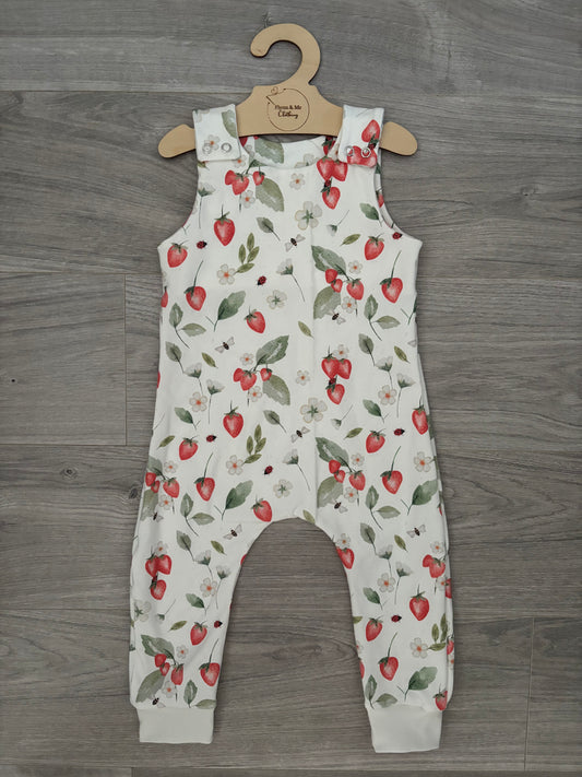 Strawberry Meadow Romper